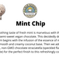 Mint Chocolate Chip (Four Pints w/ Free 2 Day Shipping)